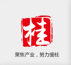 聚焦產(chǎn)業(yè)，努力援桂